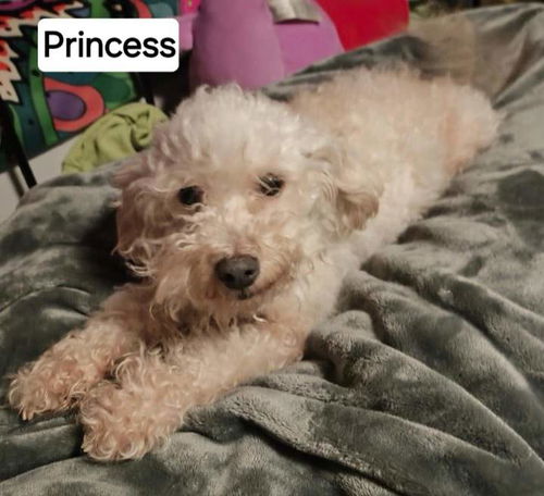 Princess