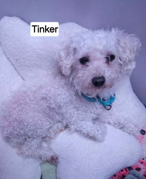 Tinker