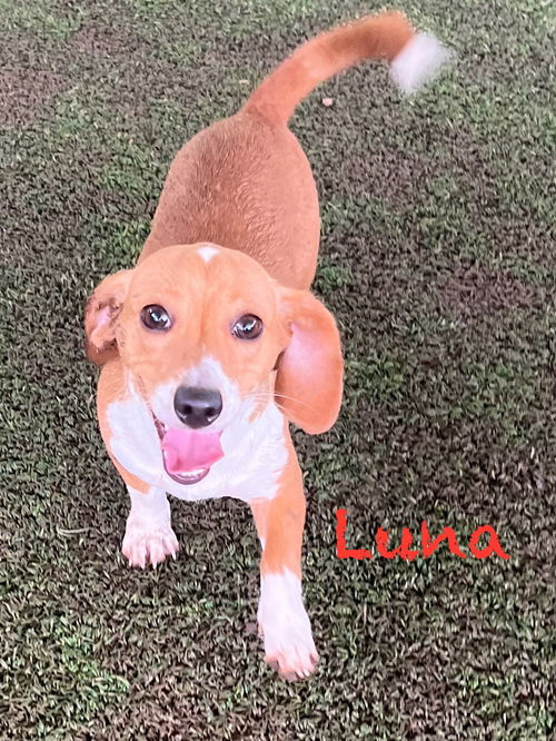 Luna