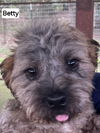 Betty