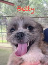 Betty