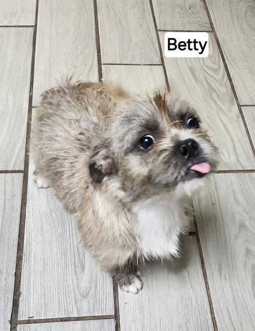 Betty