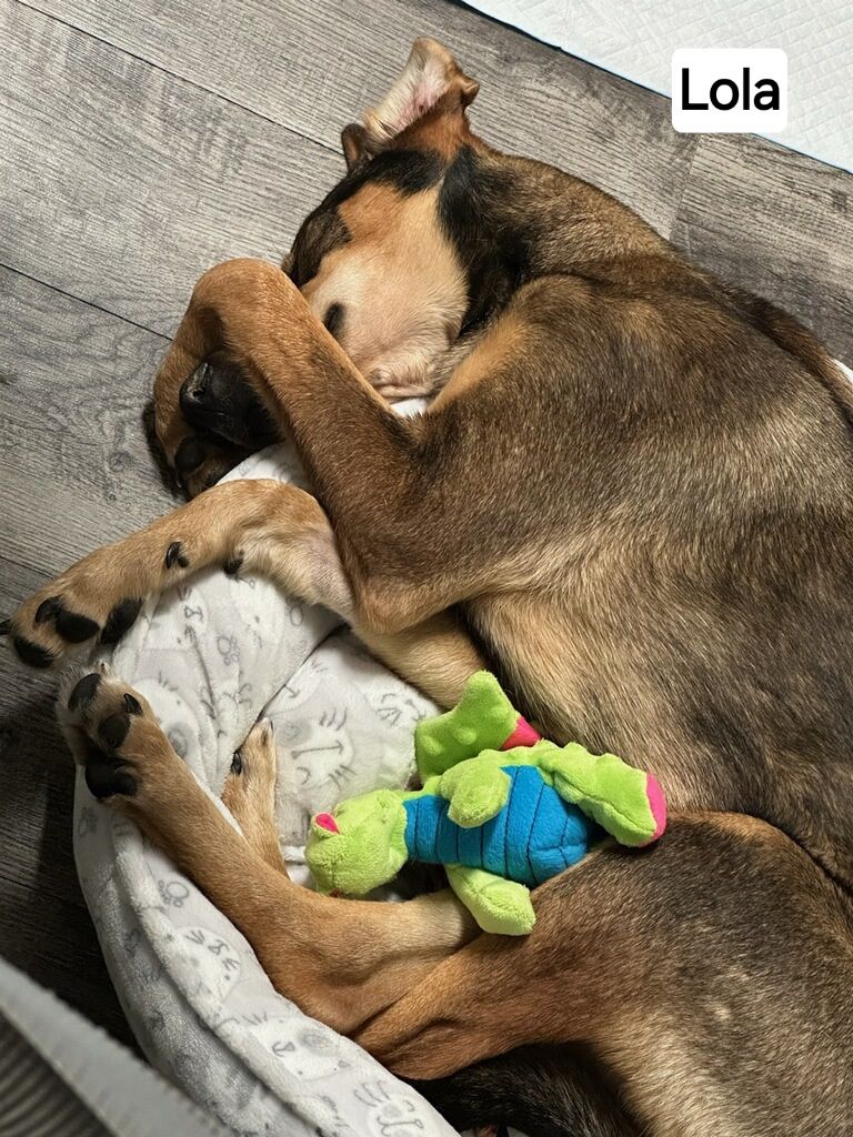 Lola