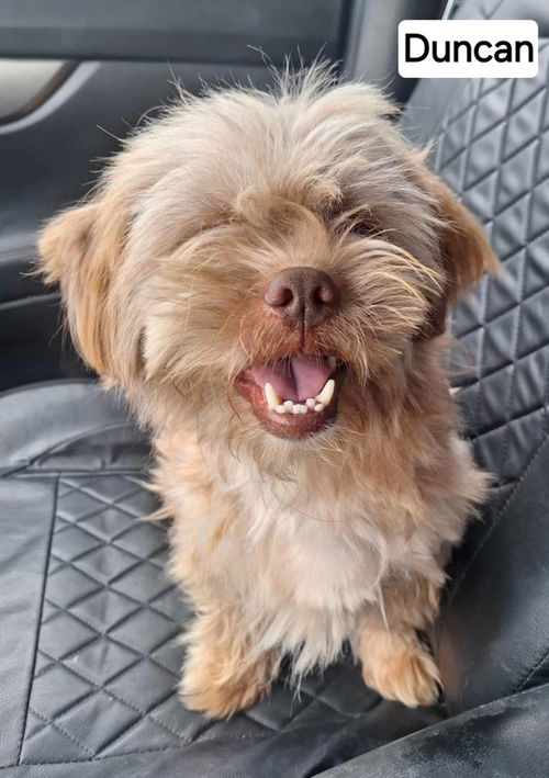 Duncan