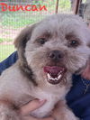 Duncan