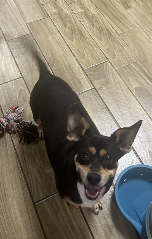 Zeus photo 3