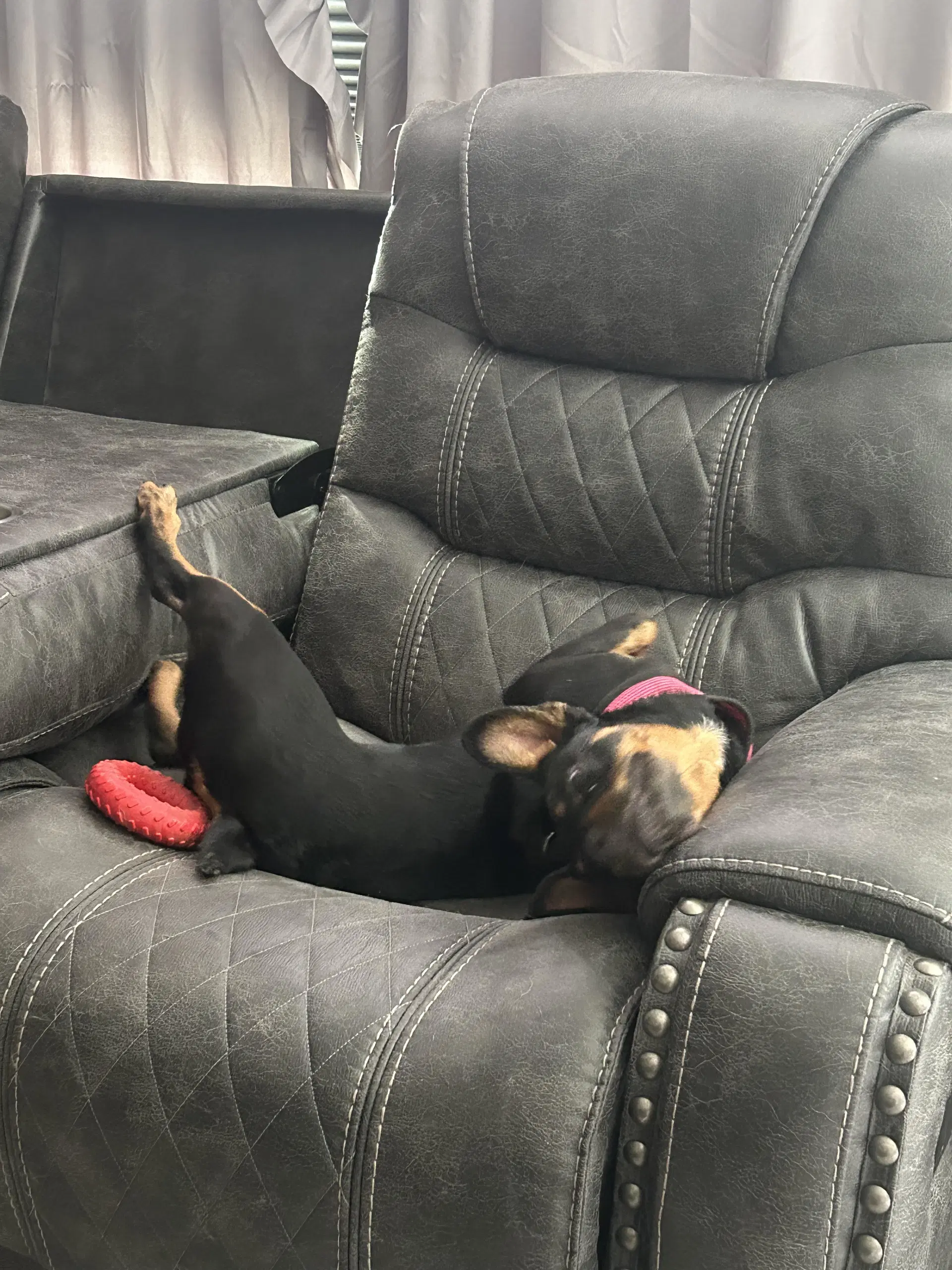 Missy image 3