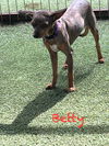 Betty