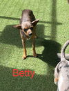 Betty