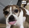 Ruth