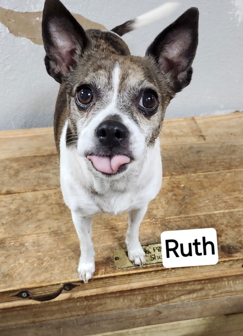 Ruth