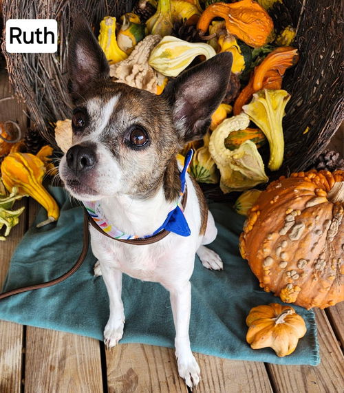 Ruth