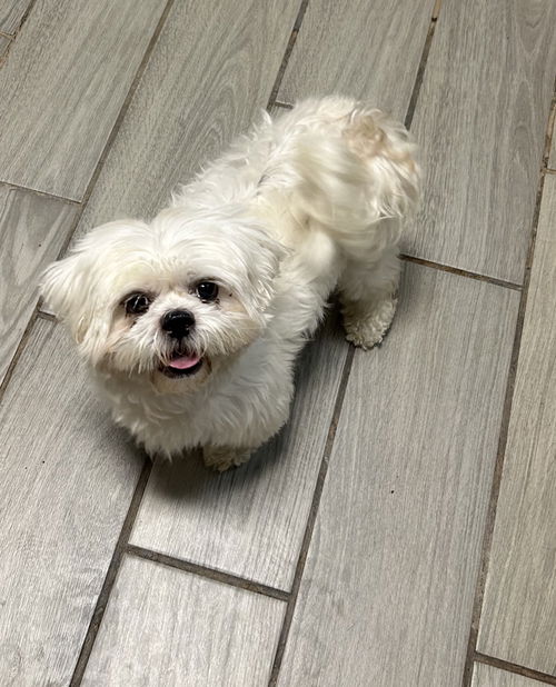 Archie