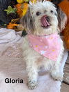 Gloria