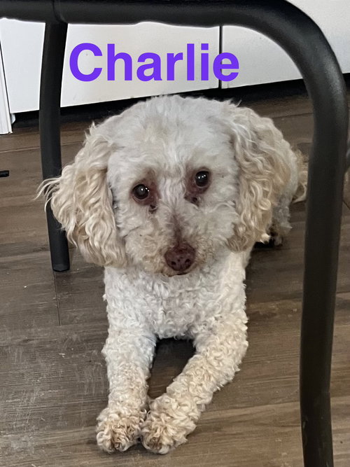 Charlie