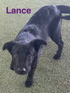 Lance