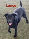 Lance