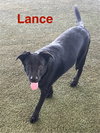 Lance