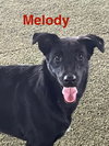 Melody