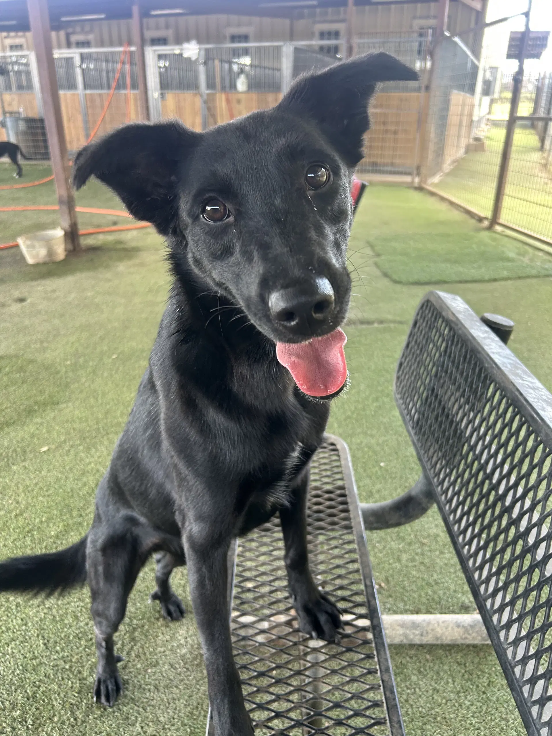 Melody - Lab Mix