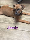 Jamie