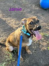 Jamie