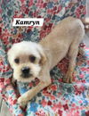 Kamryn