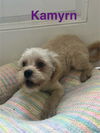 Kamryn