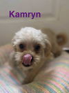 Kamryn