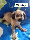 Kinsley