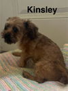 Kinsley