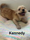 Kennedy
