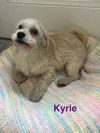 Kyrie