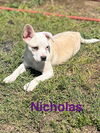 Nicholas