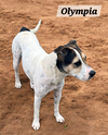 Olympia