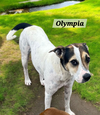 Olympia