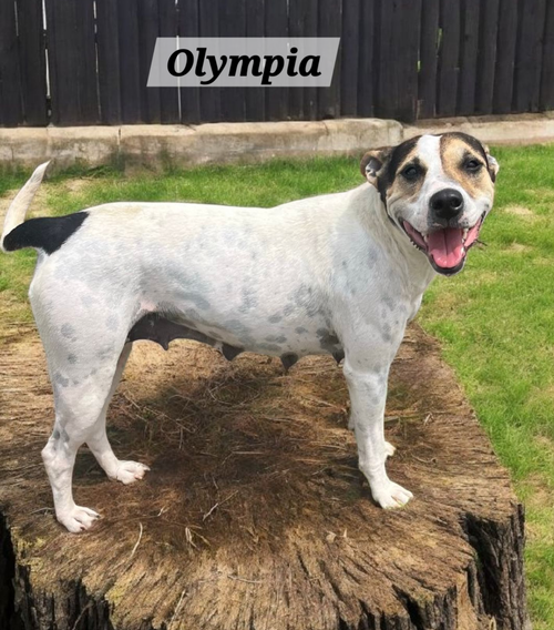 Olympia
