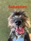 Sebastian