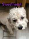 Sweetheart