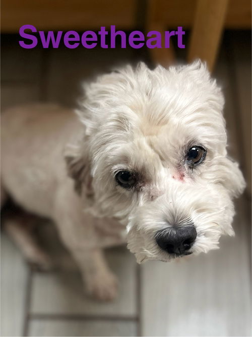 Sweetheart