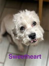 Sweetheart