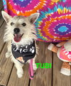 Tubi