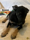 Rowan