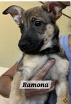 Ramona