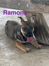 Ramona