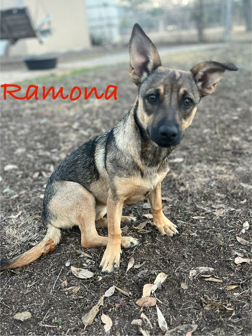 Ramona