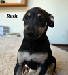 Ruth