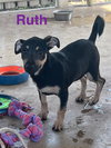 Ruth