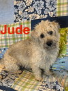 Jude