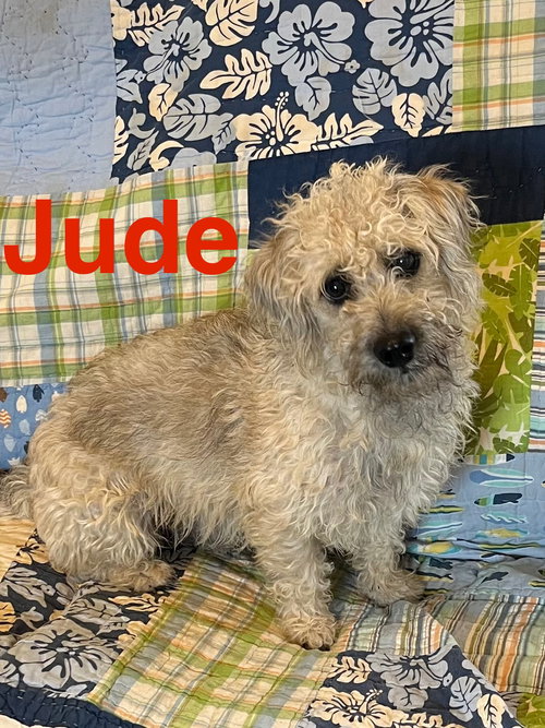 Jude